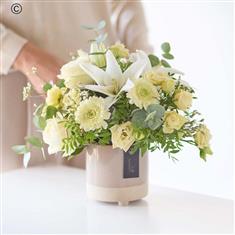 Neutral Arrangement