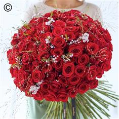 Lavish Valentine's Red Rose Hand-tied